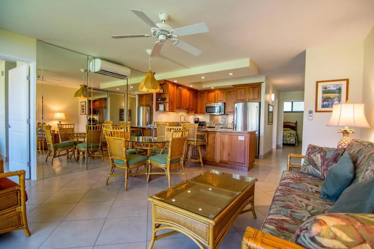 Holiday home Papakea J202 Villa Kahana United States